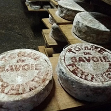 Tomme de Savoie